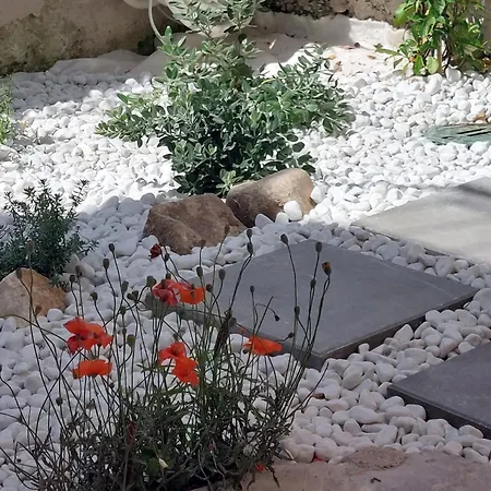 Secret Garden *